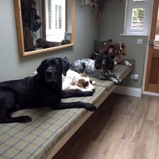 Working dogs on a tweed style cushion on bench